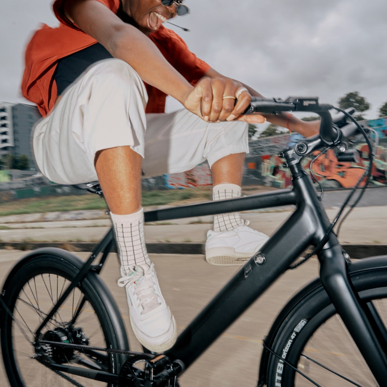 Lekker Bike Amsterdam plus eBike