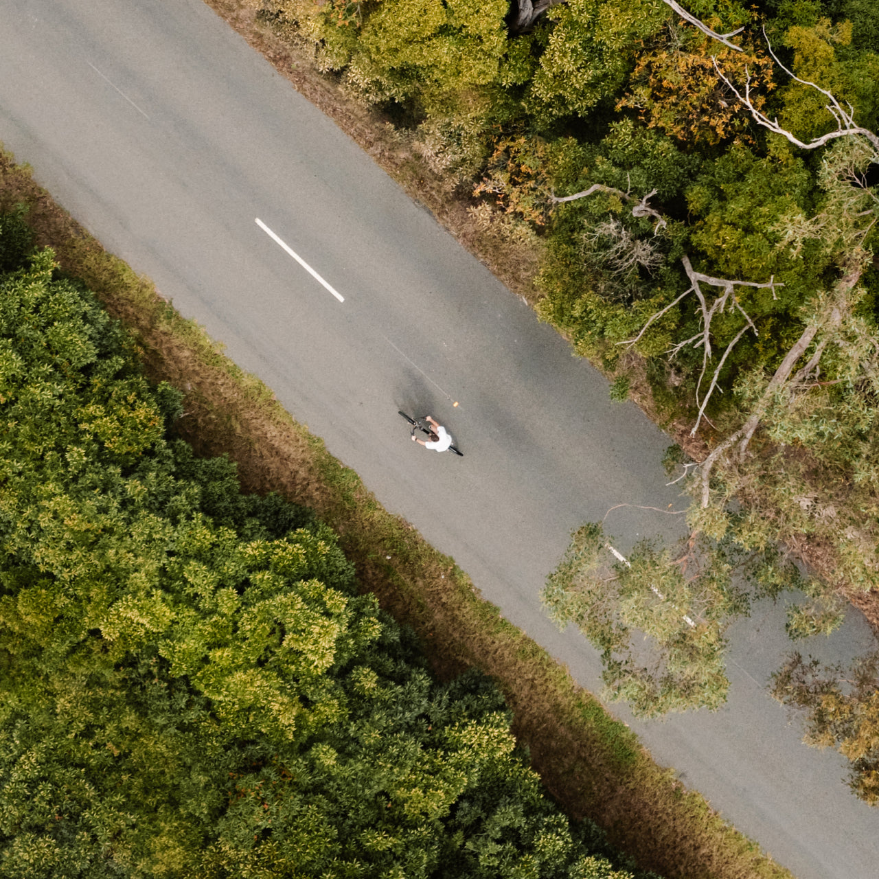 Lekker X ebike riding on road alongside trees