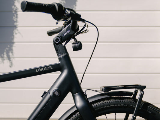 Choosing the Perfect Frame Size for Your LEKKER eBike