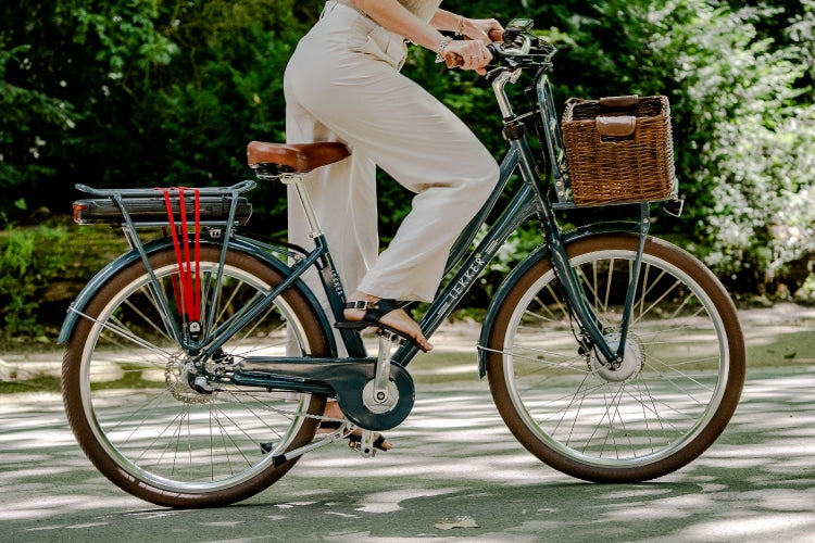 Lekker Bikes Jordaan plus ebike