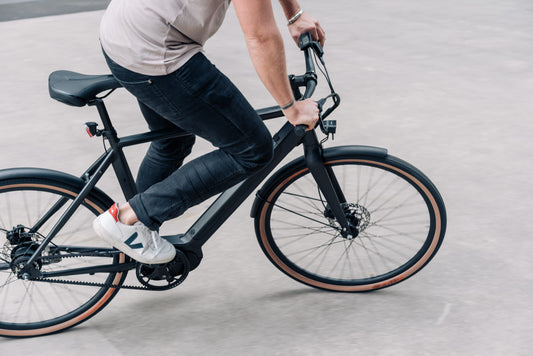 Lekker Bikes Amsterdam ebike in Berlin