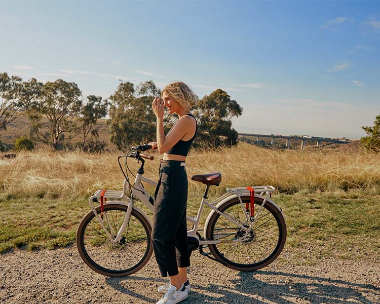 Lekker Bikes Jordaan GT ebike