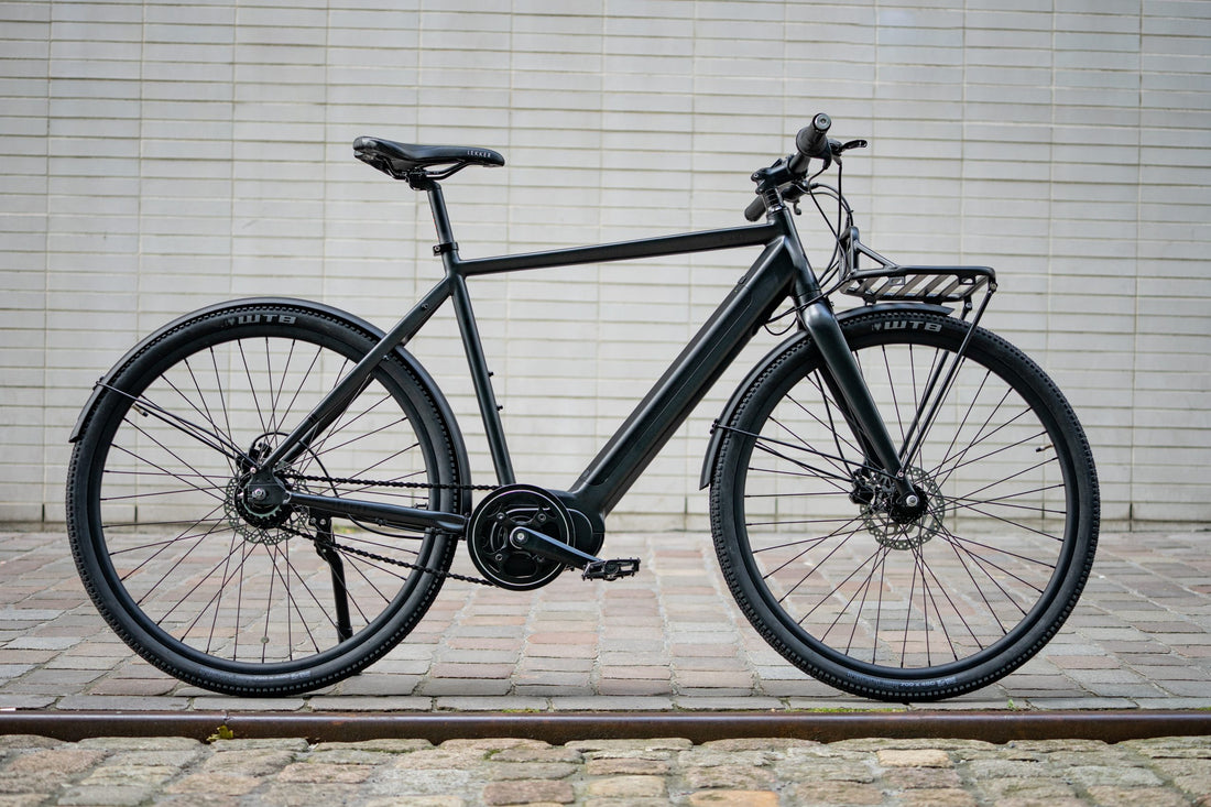 Lekker Bikes E-Amsterdam ebike frame in black