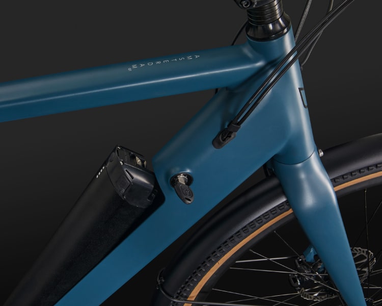 Lekker Bikes Amsterdam GT removable ebike battery