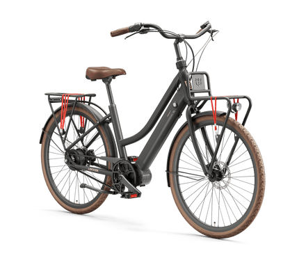 Dutch electric deals bicycle