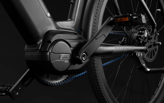 Lekker Bike Amsterdam GT enviolo hub ebike