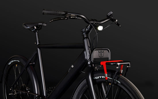 Amsterdam plus ebike front rack and LED light 