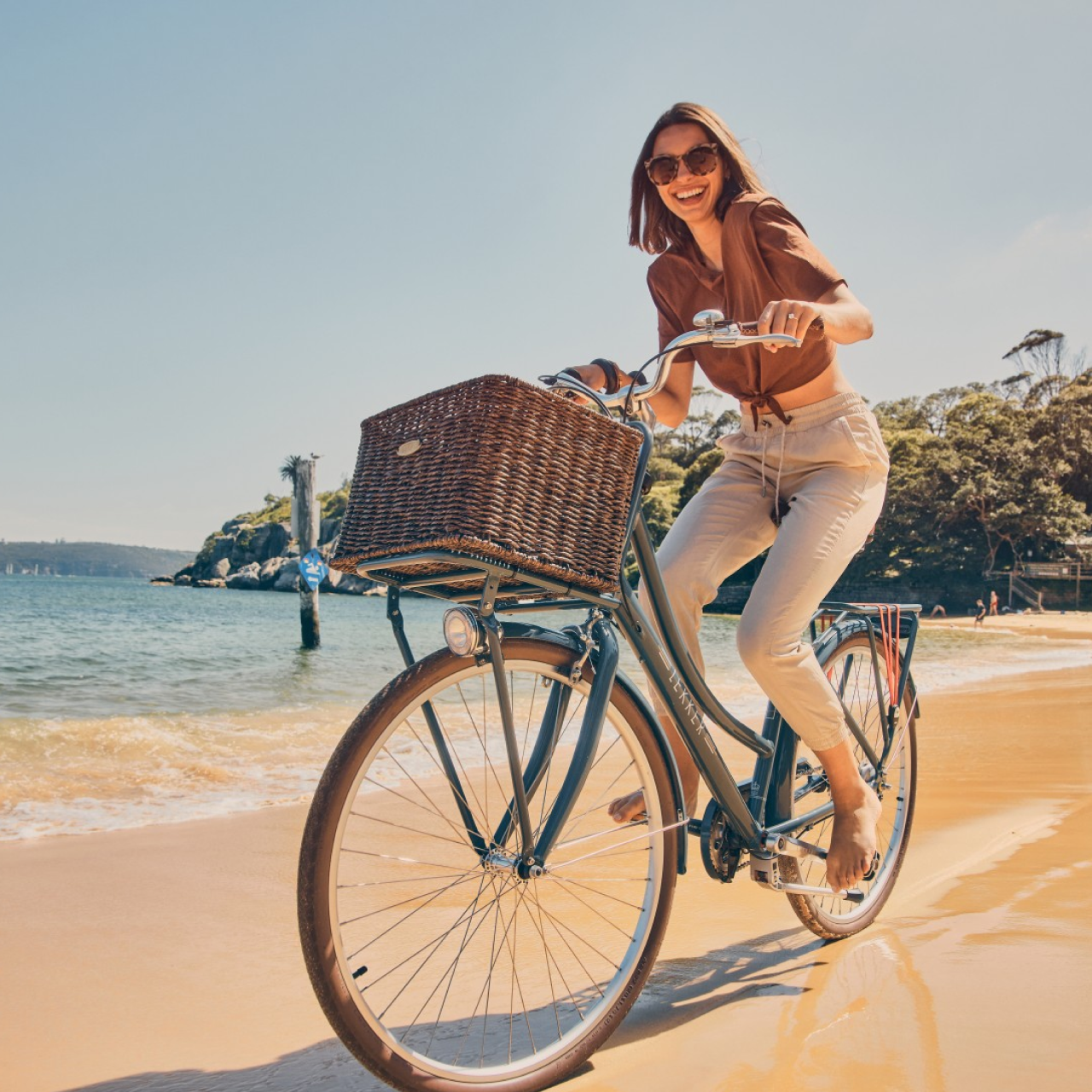 Push top bike basket