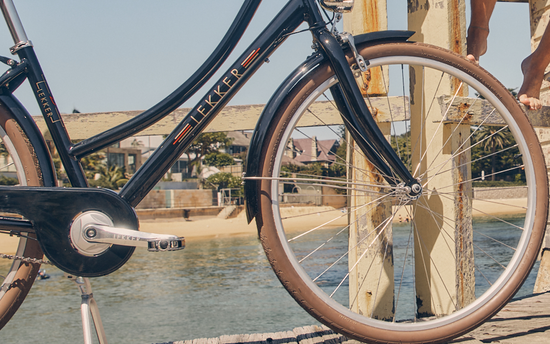 Dutch 2024 push bikes