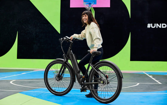 Lekker X ebike low step through frame