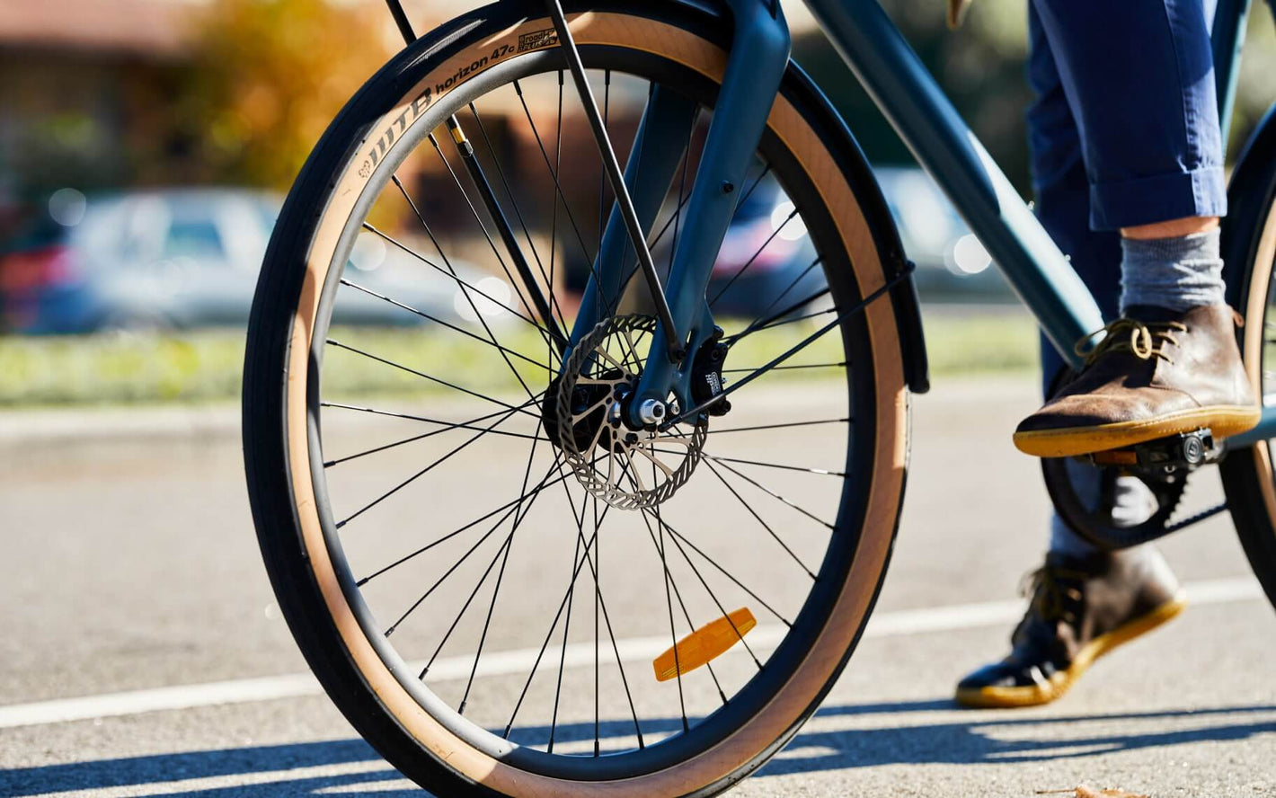 dutch bike brakes