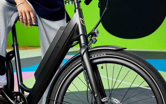 Lekker X ebike removable battery